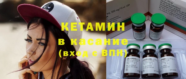индика Горнозаводск