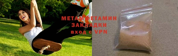 индика Горнозаводск