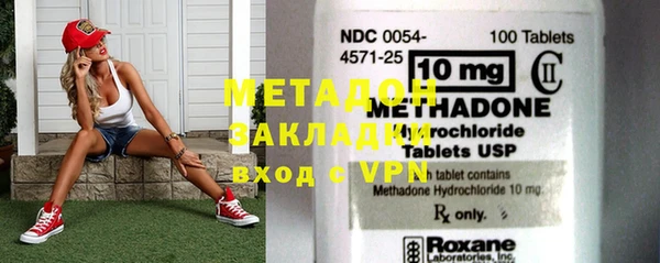 индика Горнозаводск